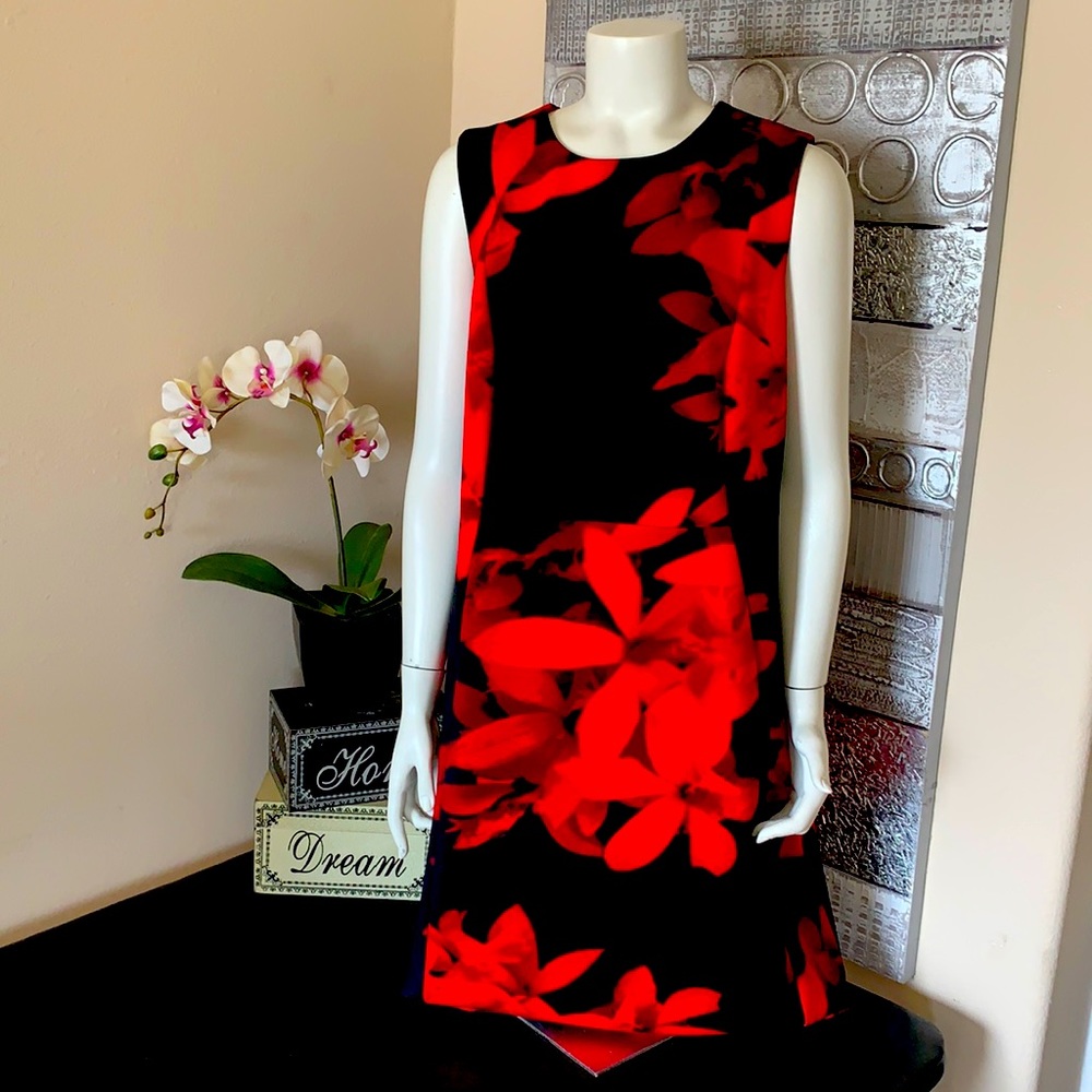 EUC Calvin Klein red/blk dress.